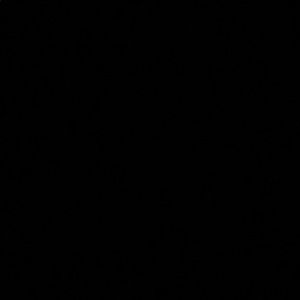 Meet your Posher, Maddie